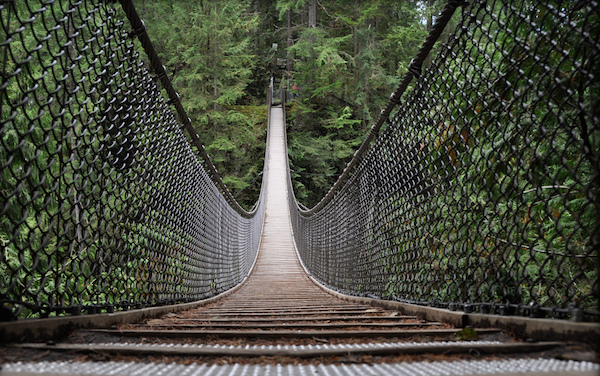 Lynn Valley Suspension by Sebastian