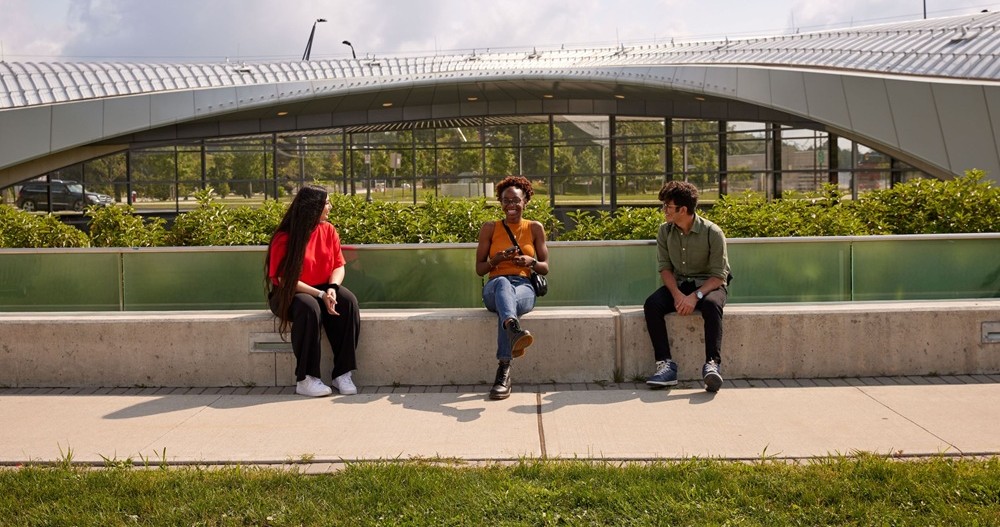 York University